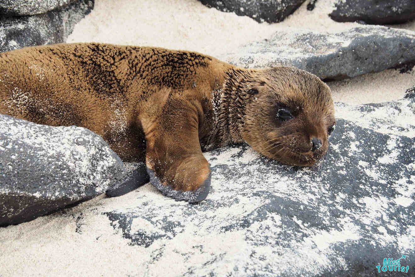 0 Where to Stay Galapagos Islands